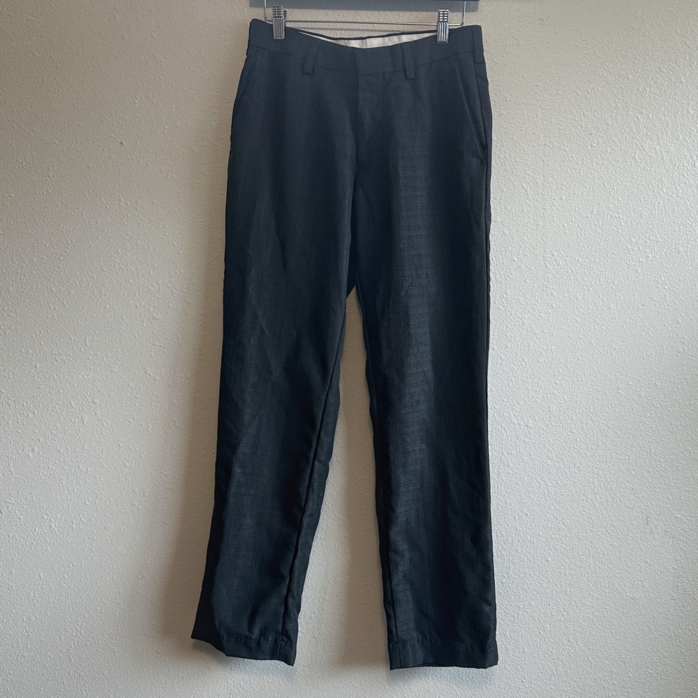 Professional & Slick Louis Raphael Dress Pants